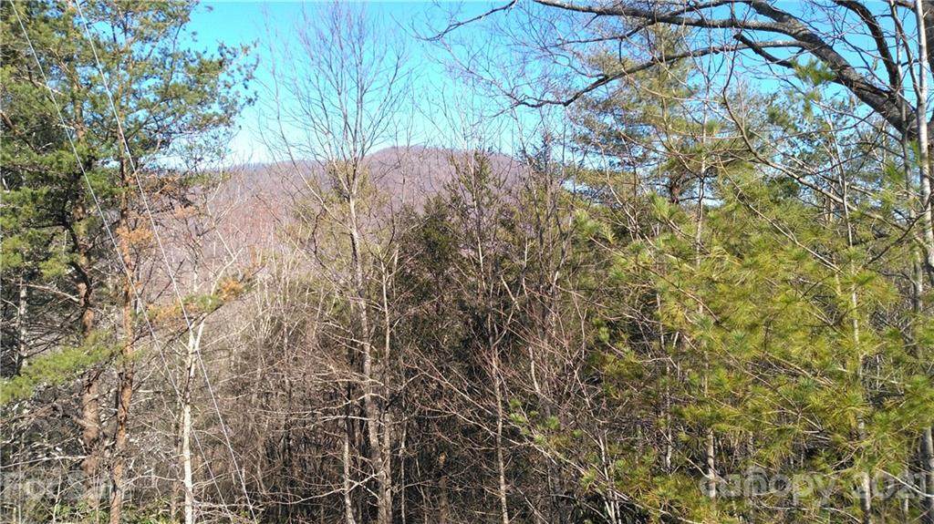 Lot 18 Deer Ridge Trail - Photo 1