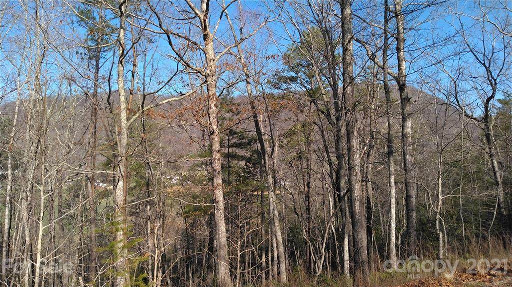 Lot 21 Little Fox Run - Photo 1