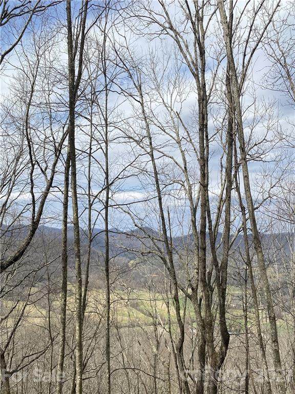 99999 Laurel Drive - Photo 1
