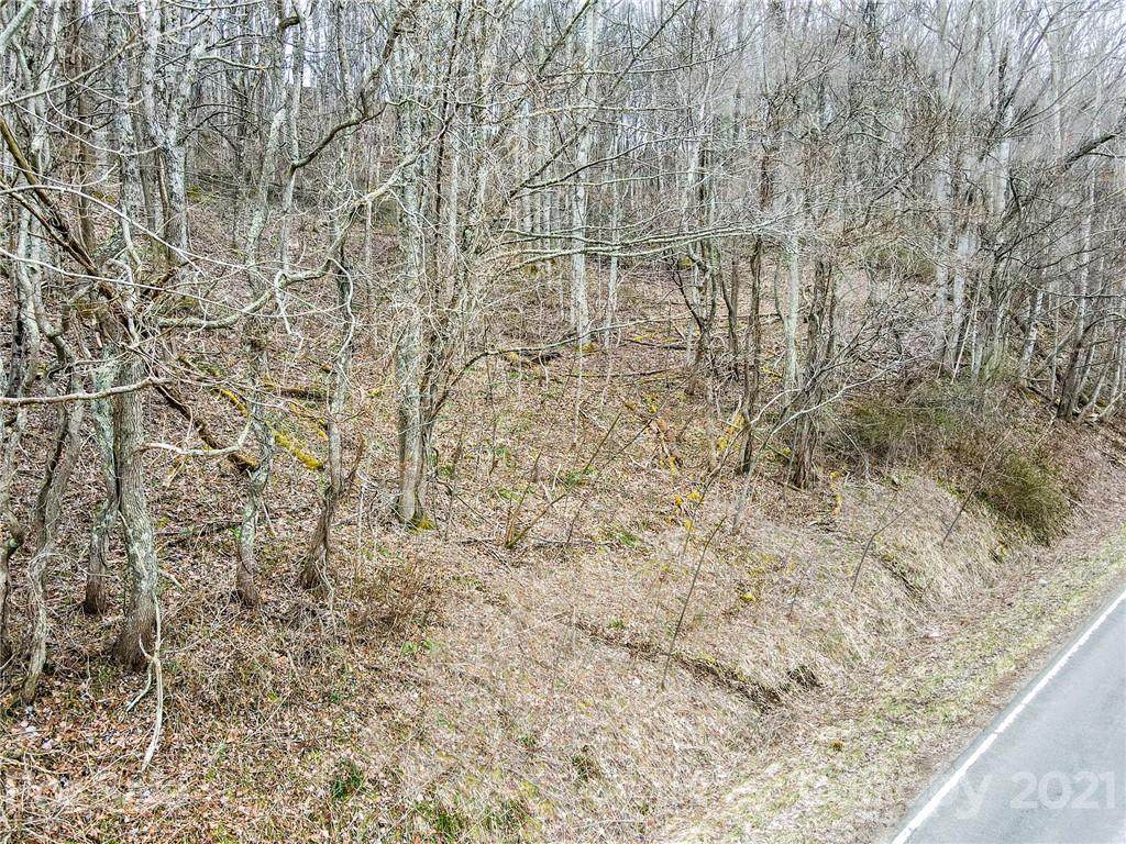TBD Alvins Fox Trail - Photo 1