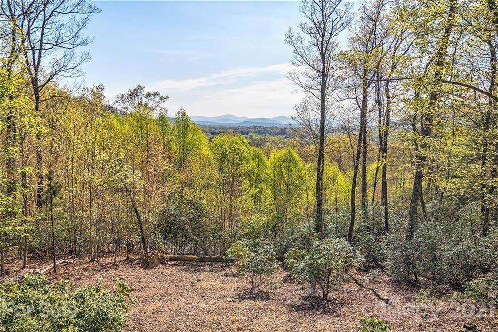 1907 Tree View Trail - Photo 1