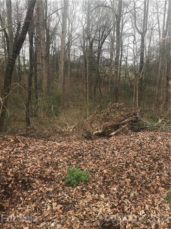 #19 Bufflehead Drive - Photo 1