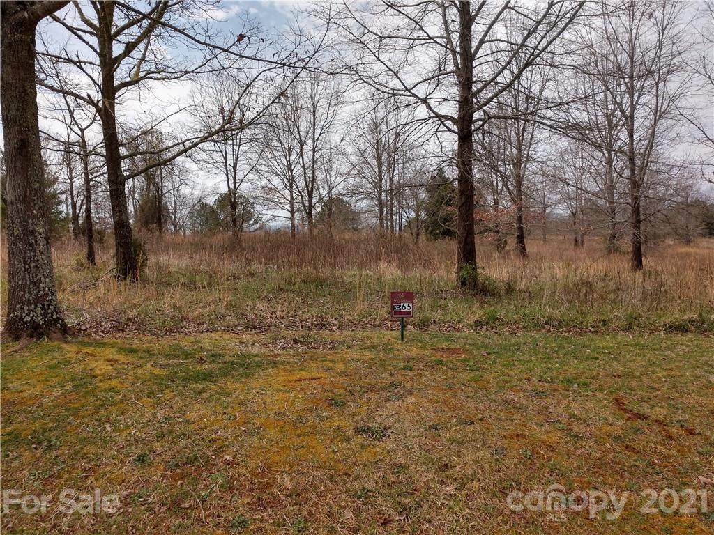 00 Summer View Lane - Photo 1