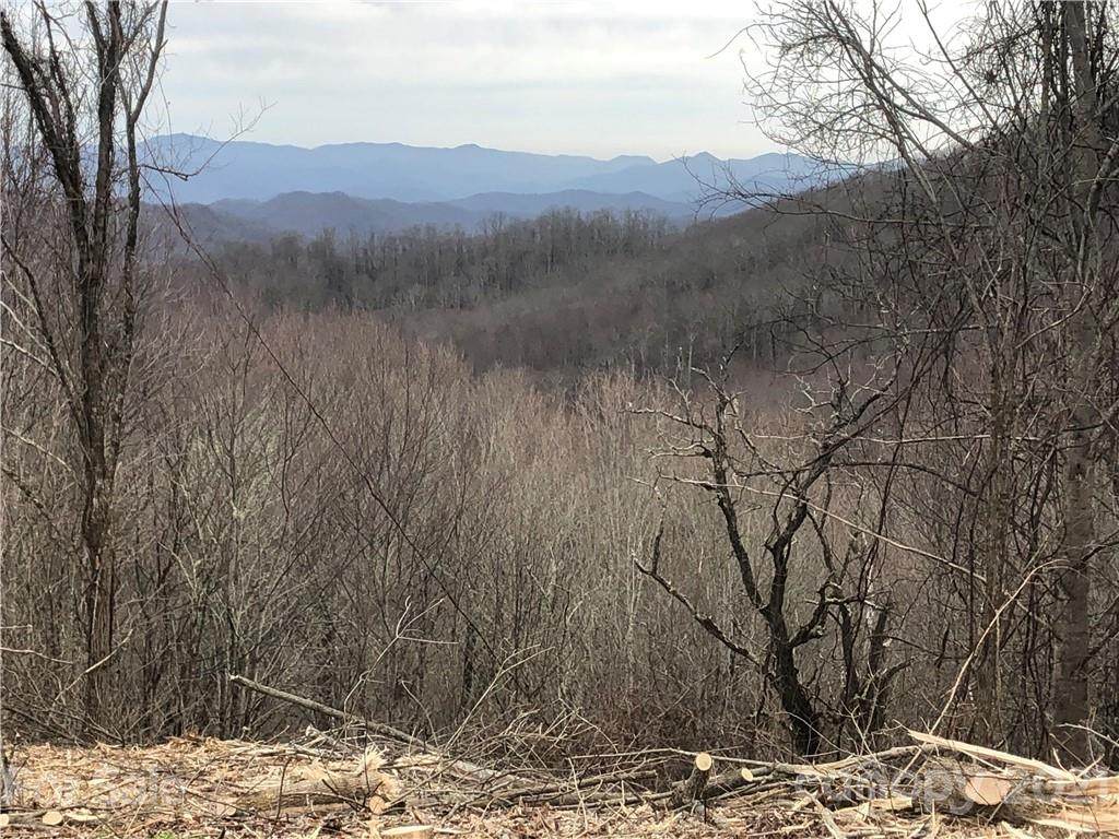 00 Turkey Trot Road - Photo 1