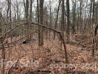 Off Mountain Road - Photo 1