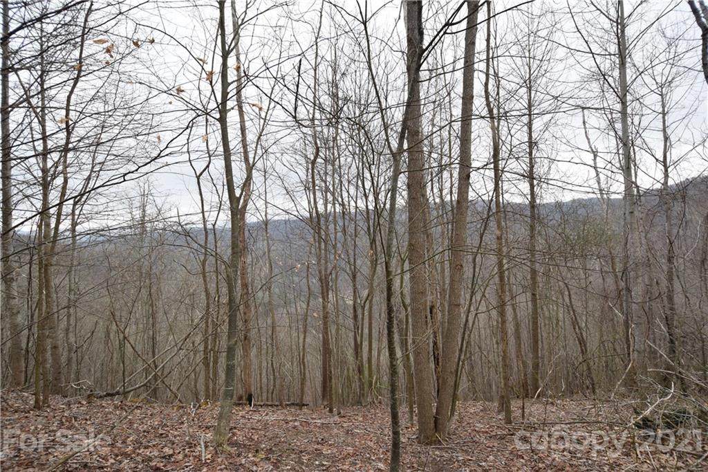 00 Pigeon Roost Road - Photo 1