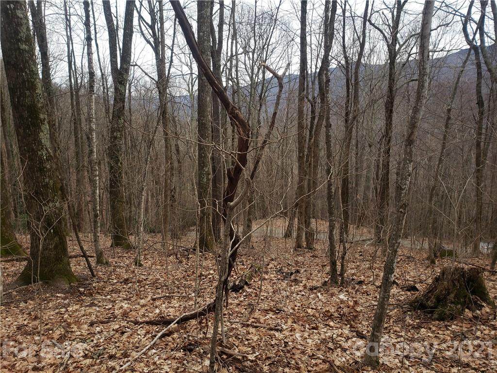 #33A Sara Ridge Road - Photo 1
