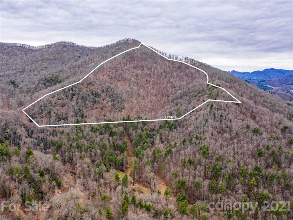 0 Gilders Creek Road - Photo 1