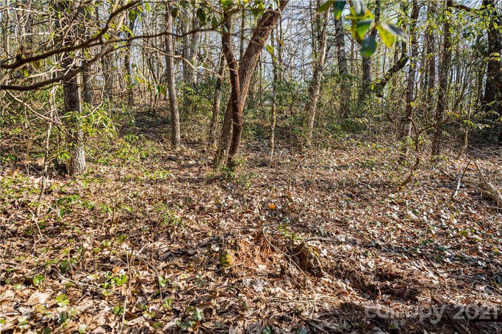 Lot 1 Bear Paw Ridge - Photo 1