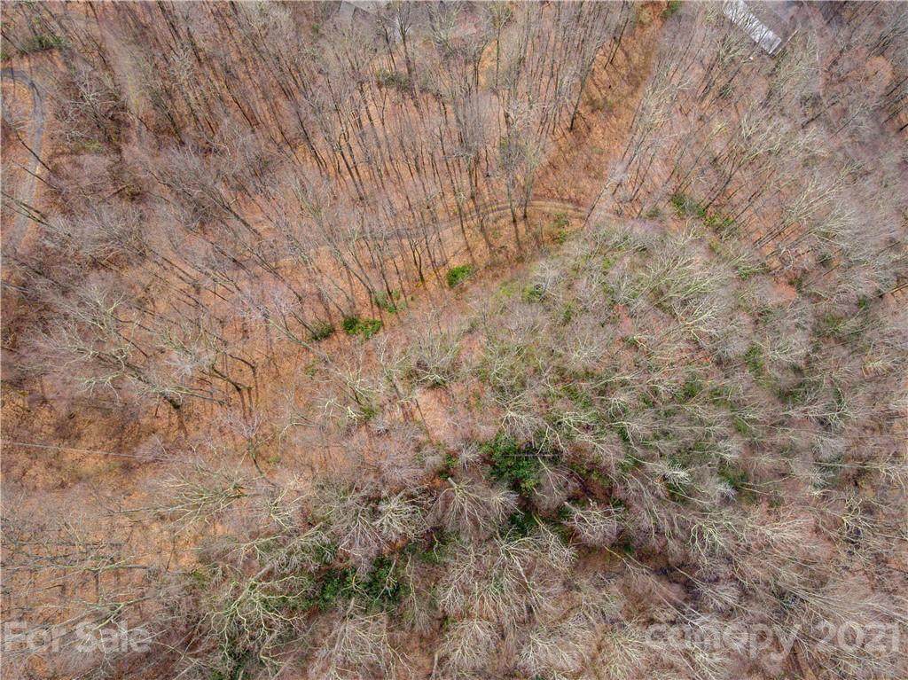 000 Maple Springs Road - Photo 1
