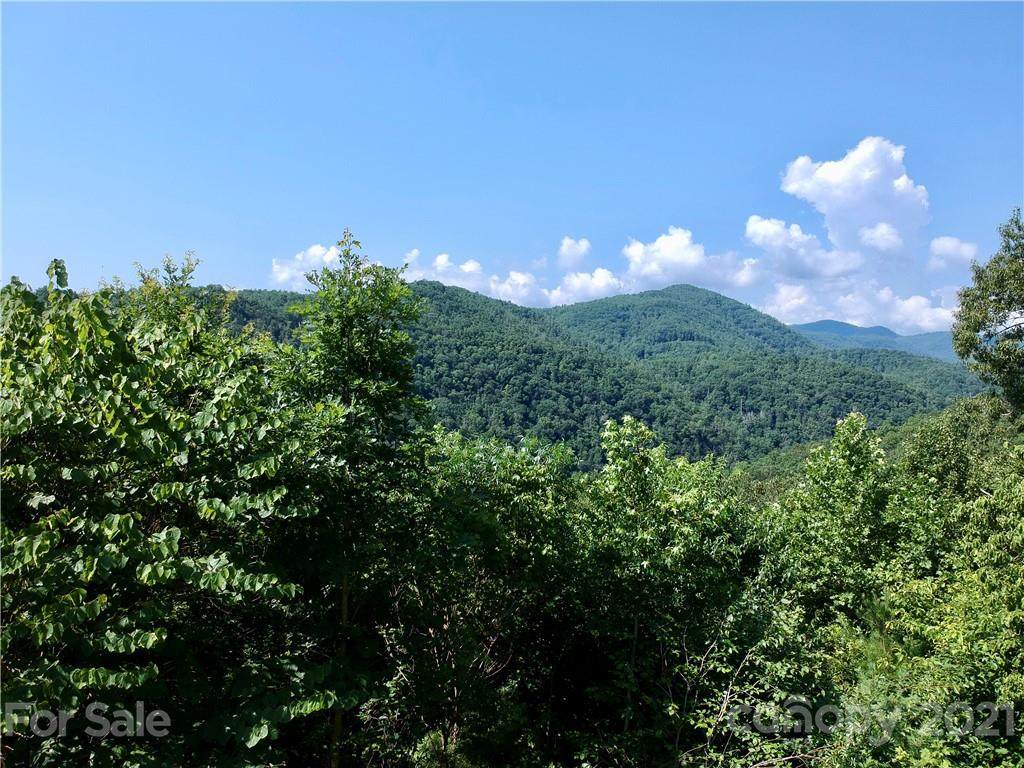 677 White Water Way - Photo 1