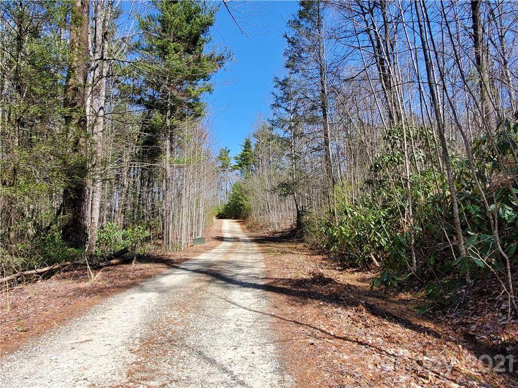 Lot 3 Cedar Creek Road - Photo 1