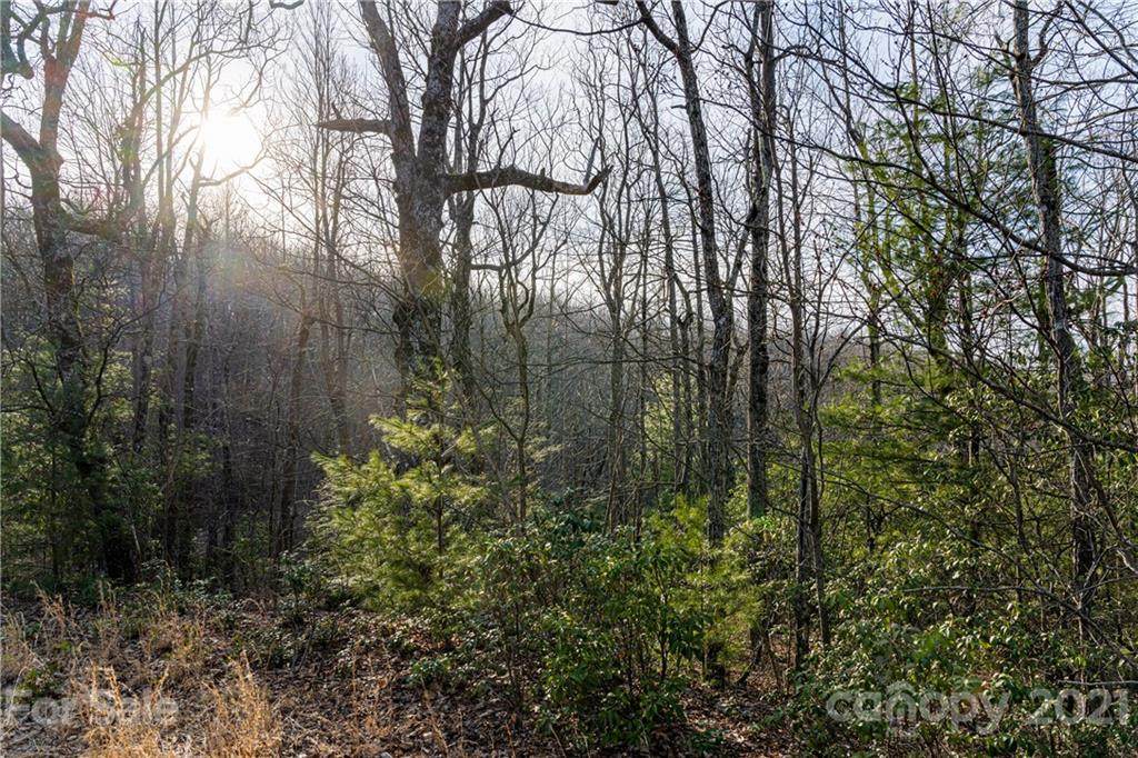 167 Shoal Creek Road - Photo 1