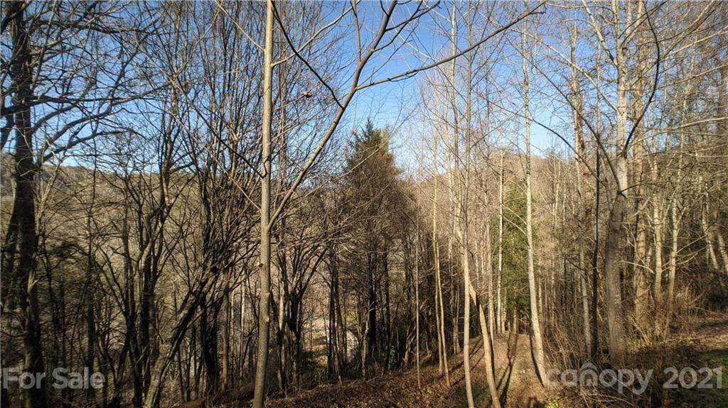 Lot 8 Bear River Lodge Trail - Photo 1