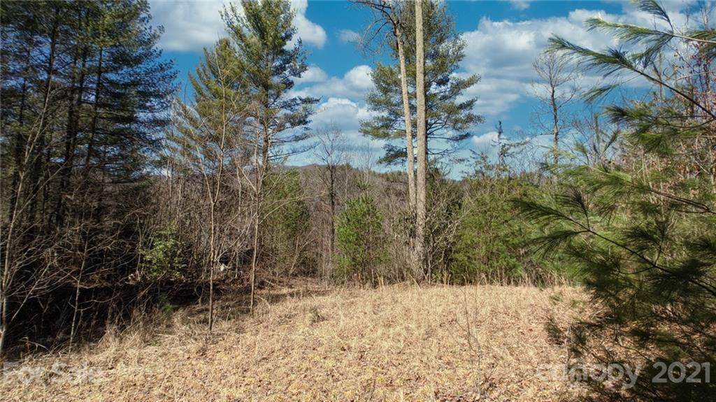 Lot 13a Moonshiners Trail - Photo 1