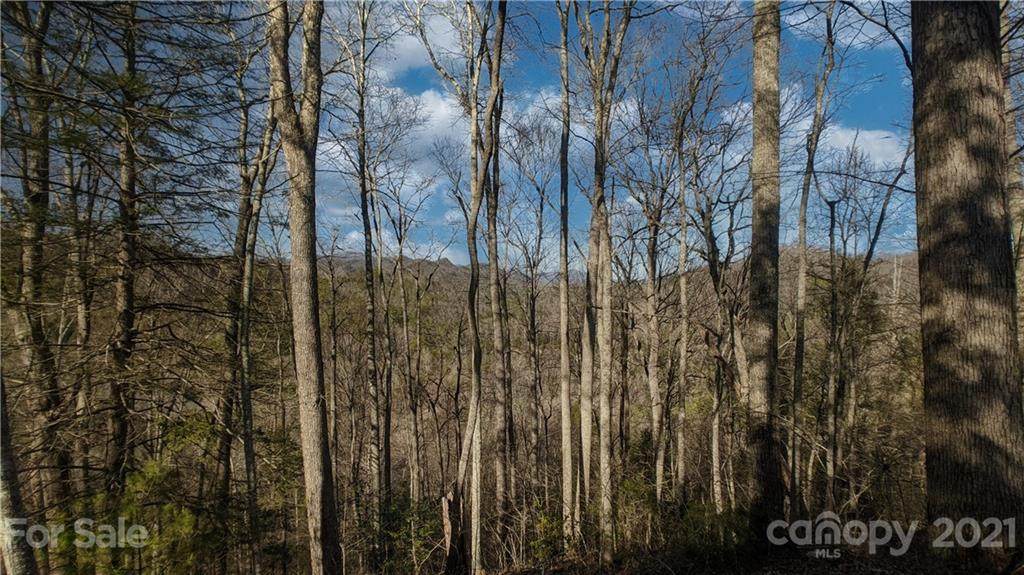 Lot 17 Wolf Bluff Trail - Photo 1