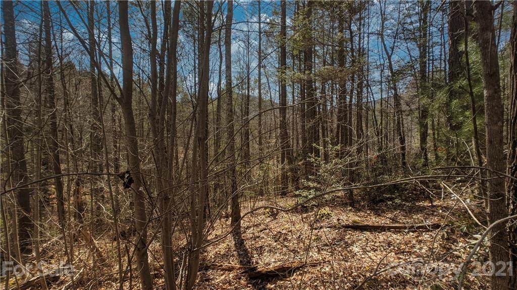 Lot 31 Deer Leap Road - Photo 1