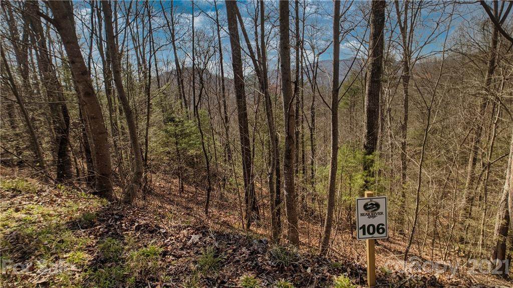 Lot 106 Laurel Ridge - Photo 1