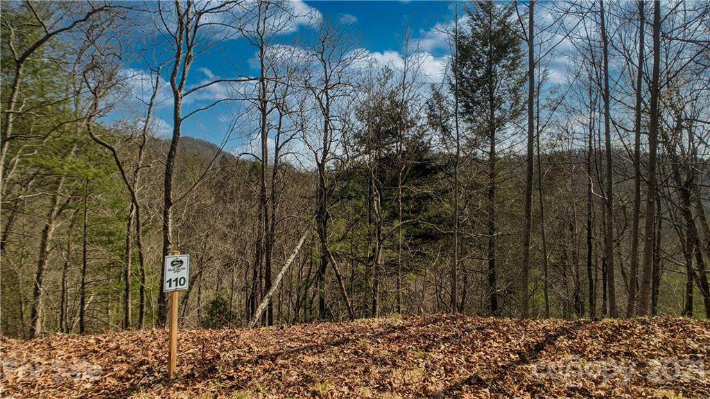 Lot 110 Laurel Ridge - Photo 1