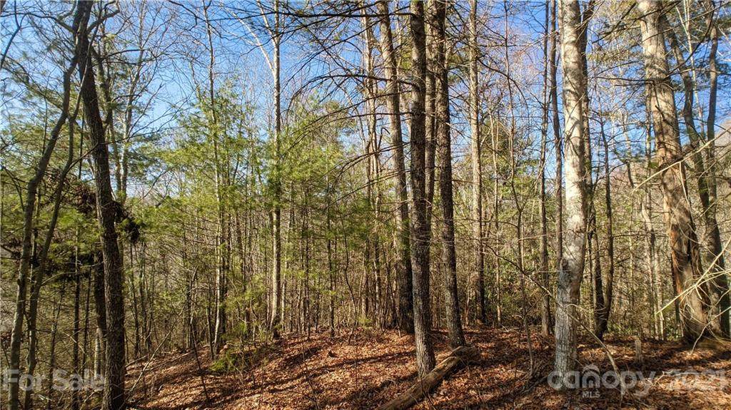 Lot 124 Bear River Lodge Trail - Photo 1