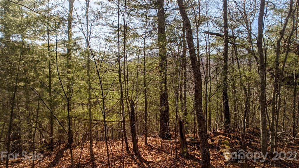 Lot 123 Bear River Lodge Trail - Photo 1
