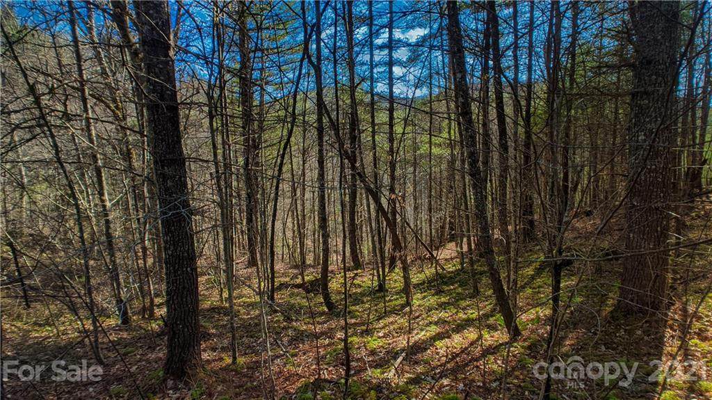 Lot 108 Bear River Lodge Trail - Photo 1