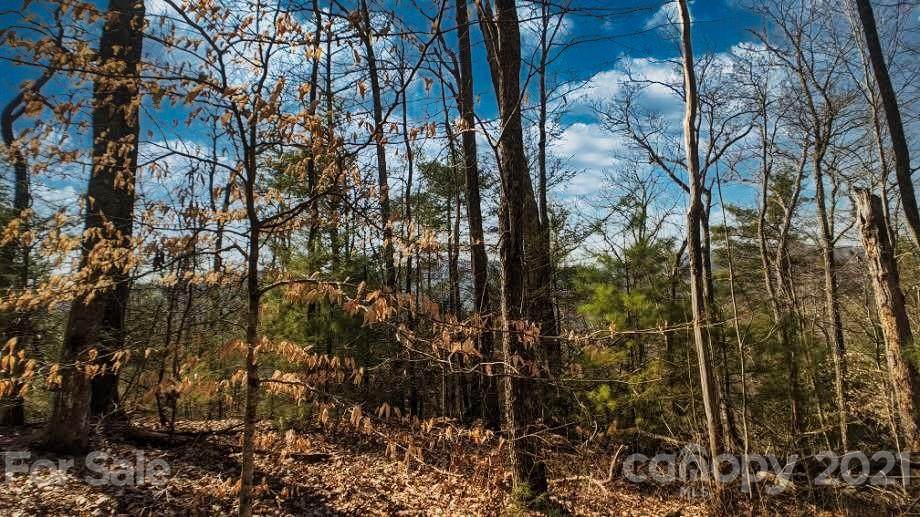 Lot 130 Saddle Top Drive - Photo 1