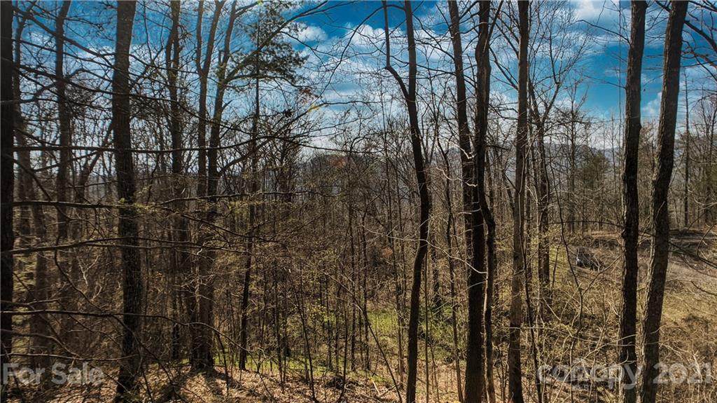Lot 132 Saddle Top Drive - Photo 1