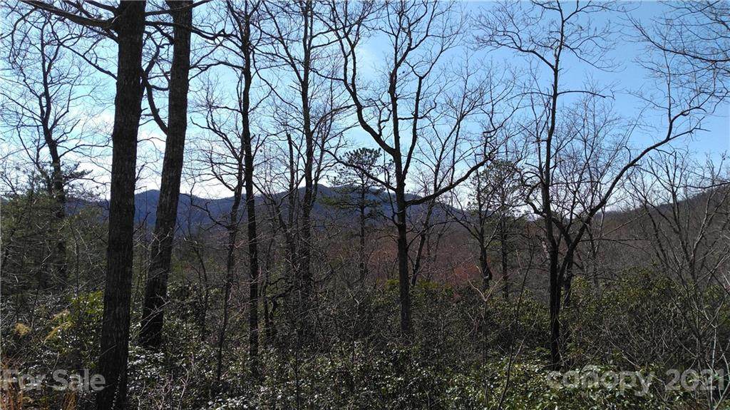 Lot 5 Crooked Creek Estates Drive - Photo 1