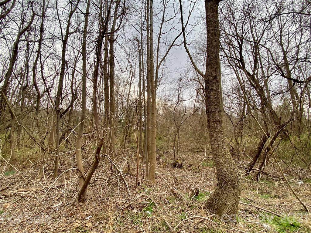 0000 Edgewood Road - Photo 1