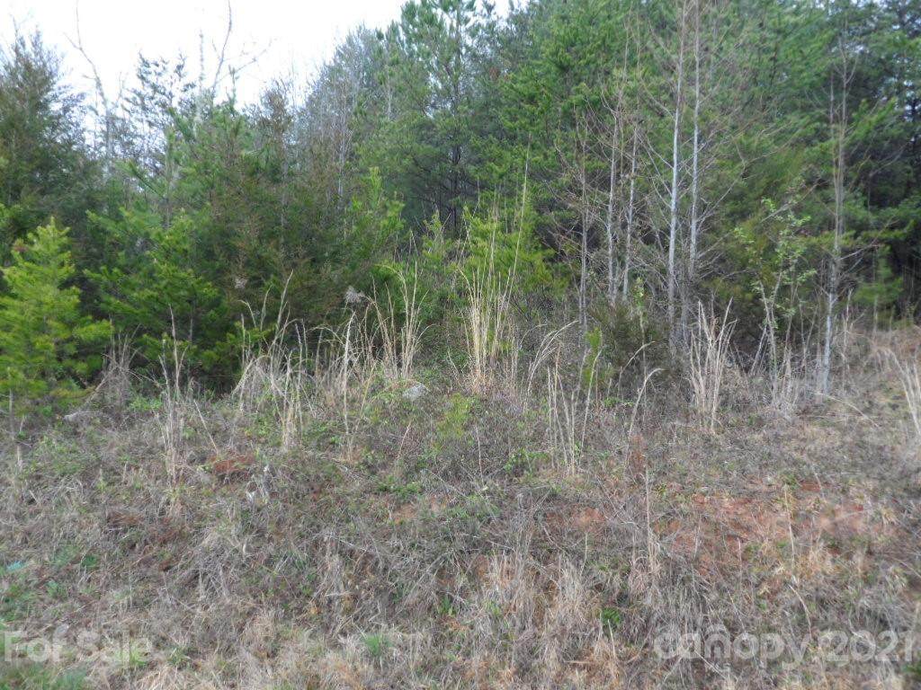 0 Deerfield Drive - Photo 1