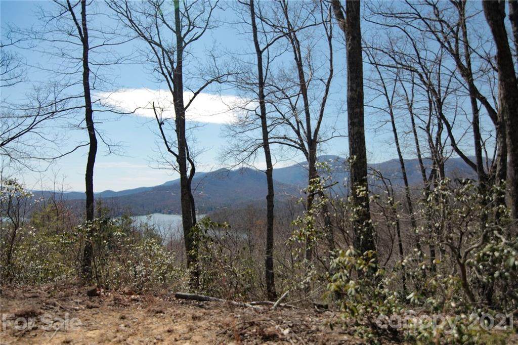 00 Hawks Nest Trail - Photo 1