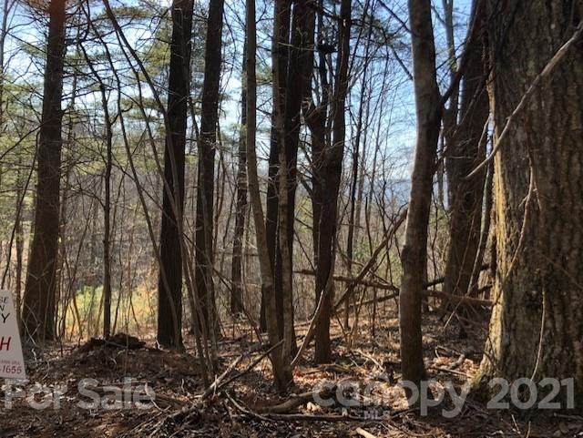 0 Branch Road - Photo 1