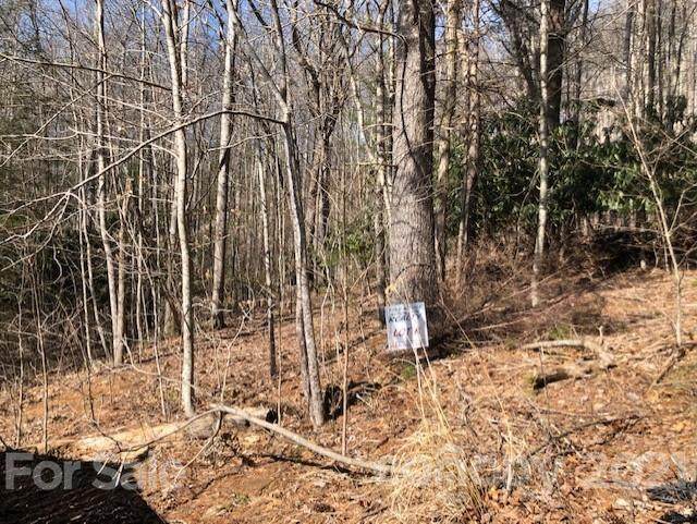 0 Branch Road - Photo 1
