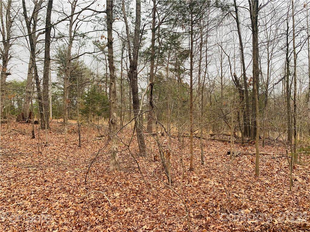TBD Jurney Avenue - Photo 1
