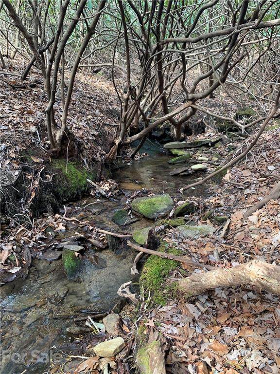 TBD Speckled Trout Run - Photo 1