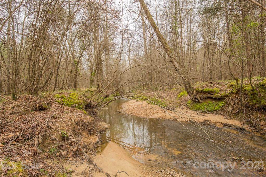 37 ac Ross Dye Road - Photo 1