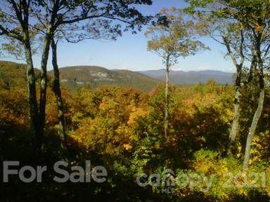 Lot 29 Summit Ridge Road - Photo 1