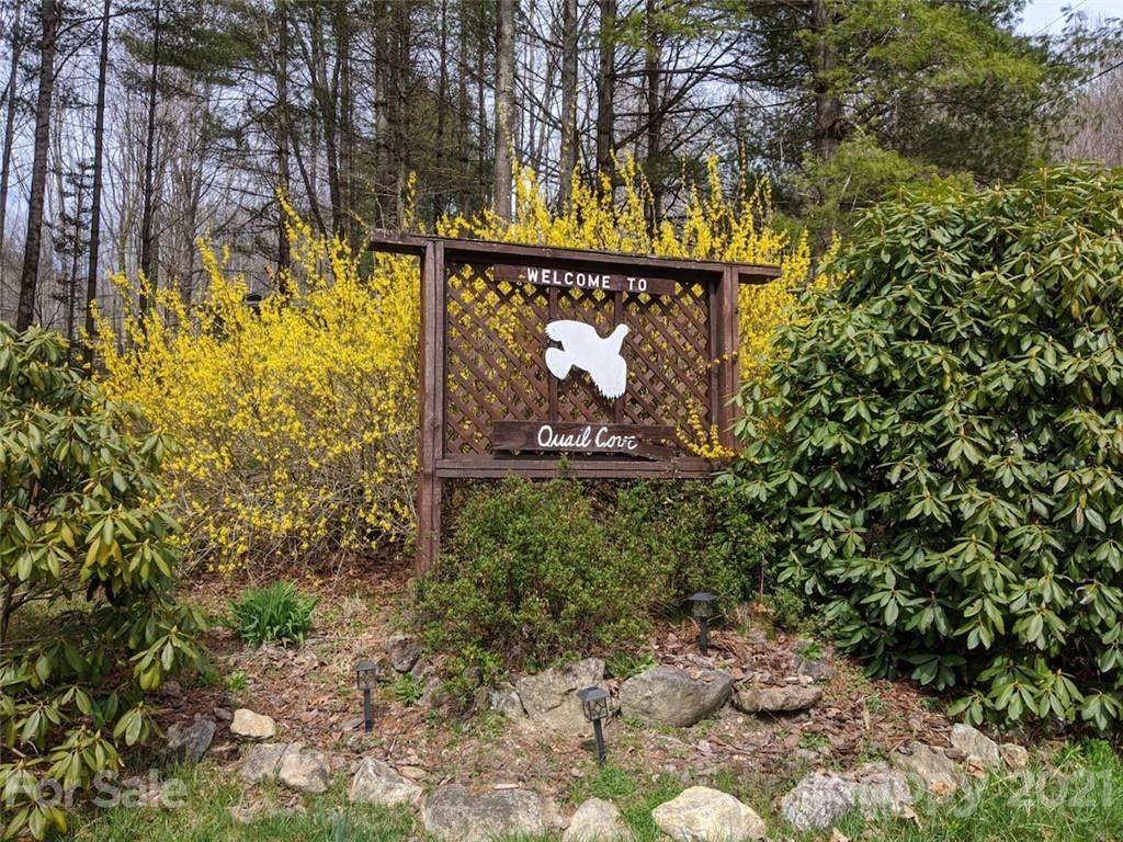 0000 Quail Cove Road - Photo 1