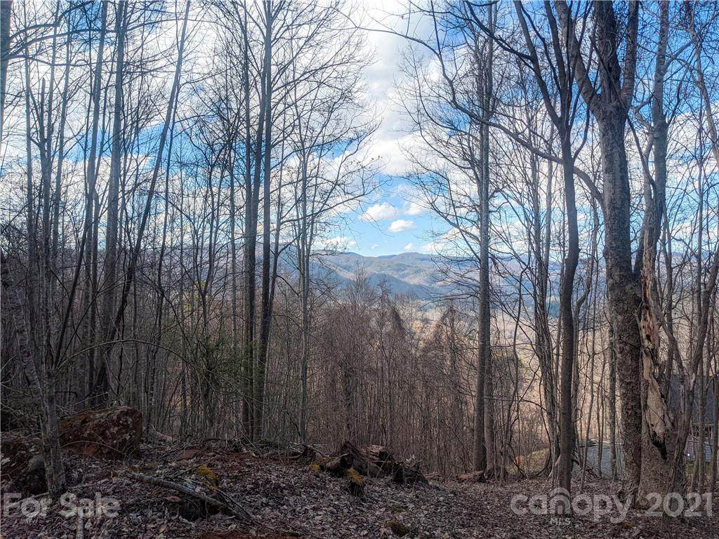 TBD Elliotts Loop - Photo 1