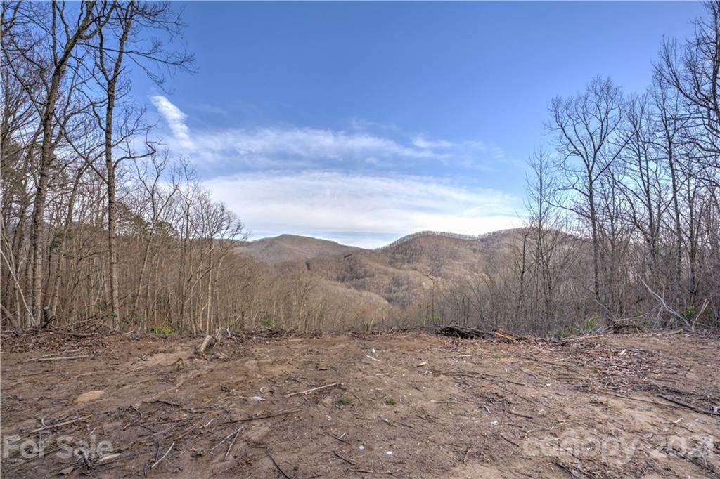 LT 96 Hosta Drive - Photo 1