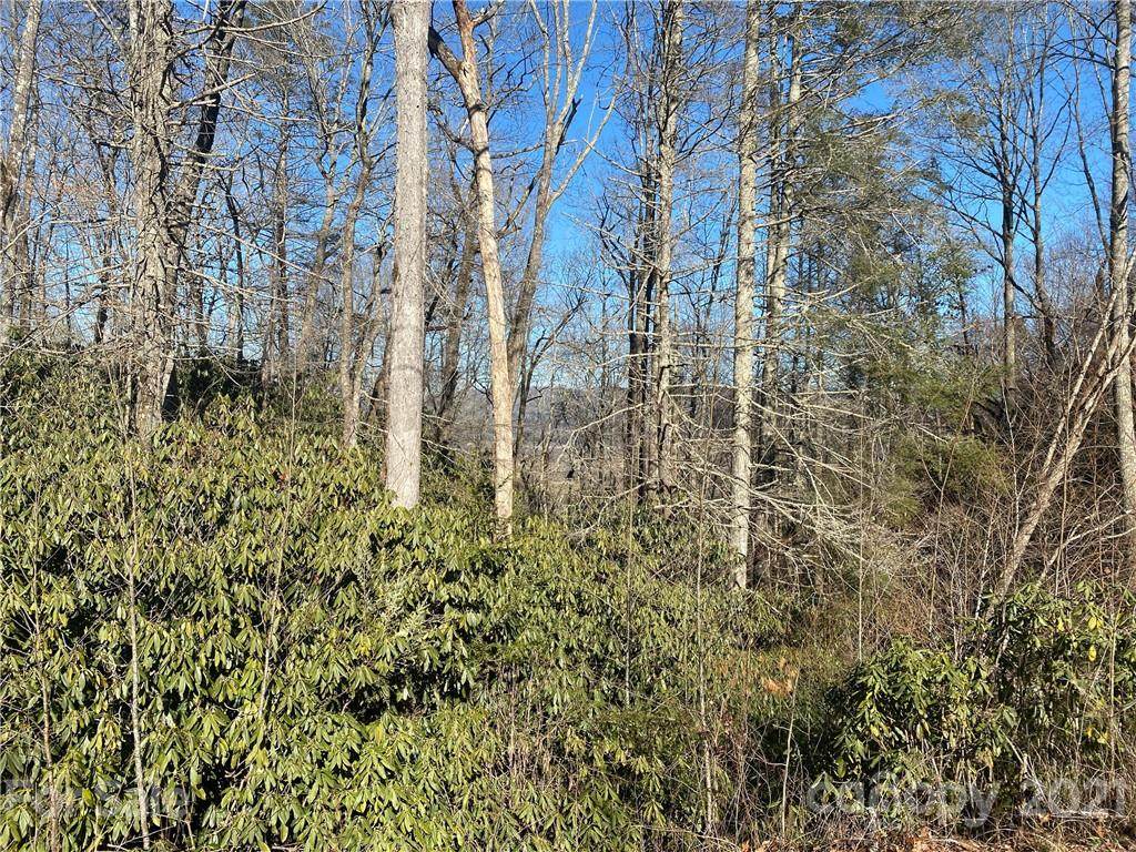 TBD Pisgah Forest Drive - Photo 1