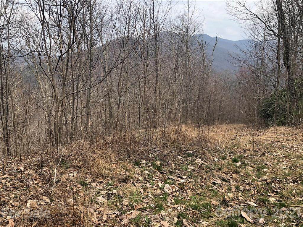 00000 Bartlett Mountain Road - Photo 1