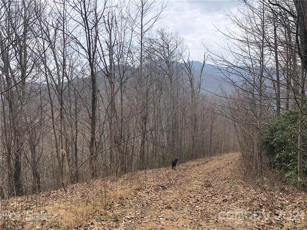 00000 Bartlett Mountain Road - Photo 1