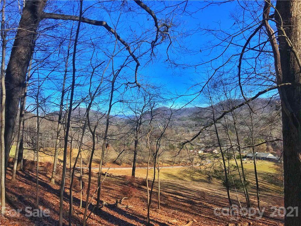 000 Reeves Cove Road - Photo 1