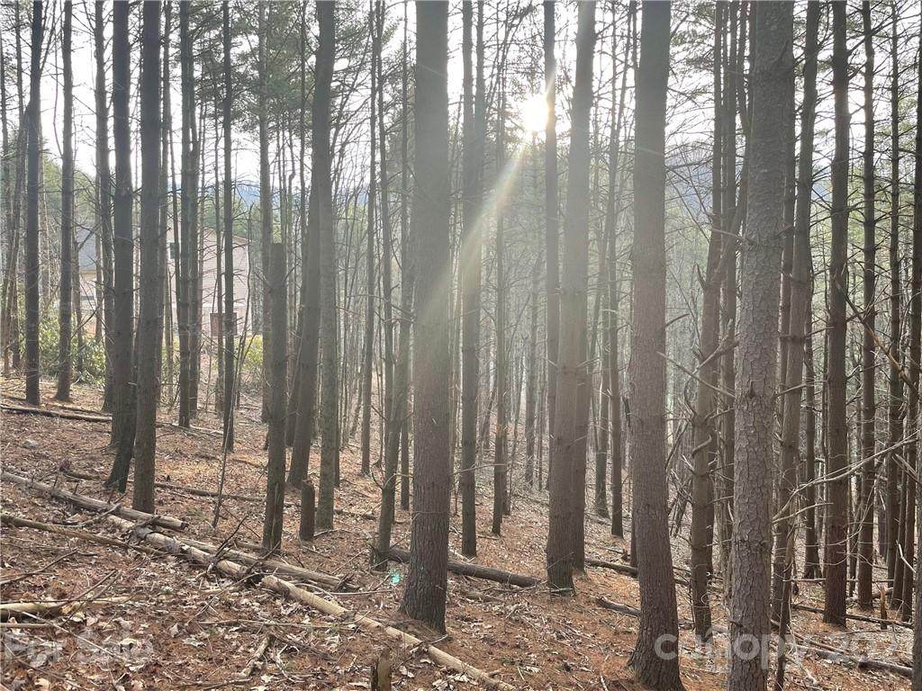 29 Tallwood Road - Photo 1