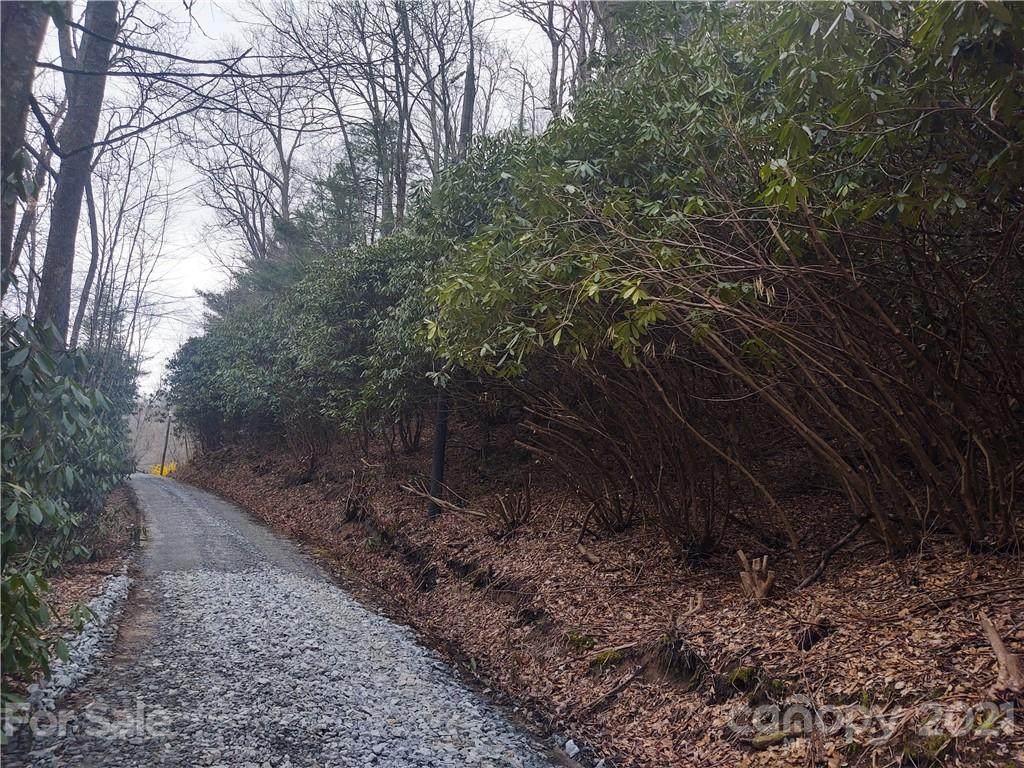 00 Lazy Bear Trail - Photo 1