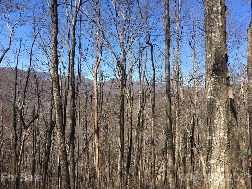 TBD Winter Star Road - Photo 1
