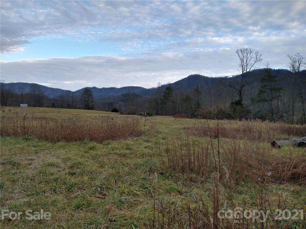 920 Mt Hebron Road - Photo 1