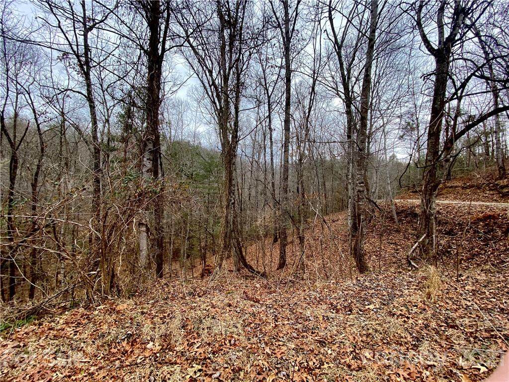 500 (TBD) Black Walnut Lane - Photo 1